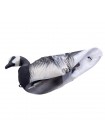 Плавающее сминаемое чучело Казарка белощекая плавающая  Softplast® 3D
